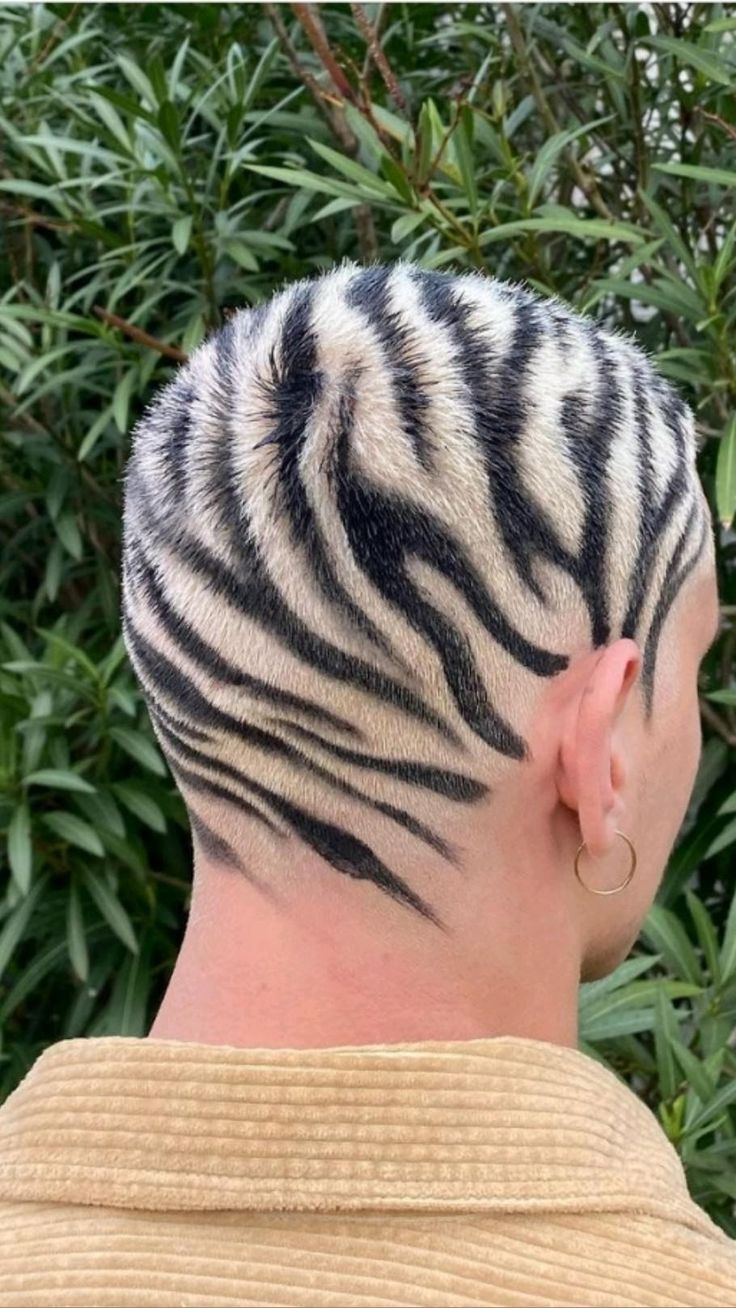 bria stephens add Zebra Shaved photo