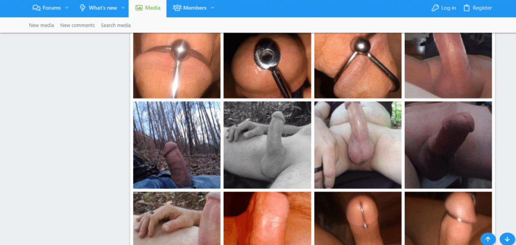 Dick Flash Forum 22854