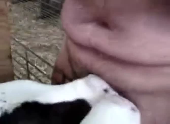 bonnie bowen add Calf Giving Blow Job photo