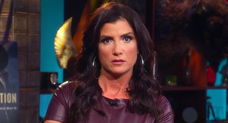 derek rondeau add Dana Loesch Hot photo