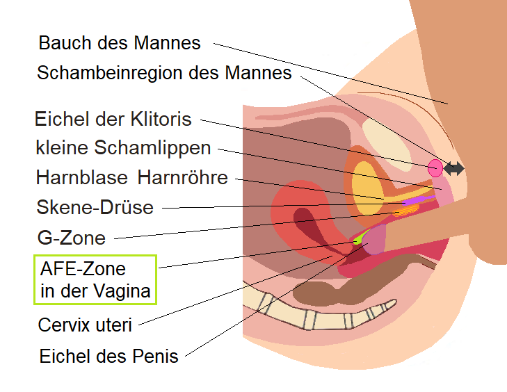 carol yeung add Penile Vaginal Penetration photo