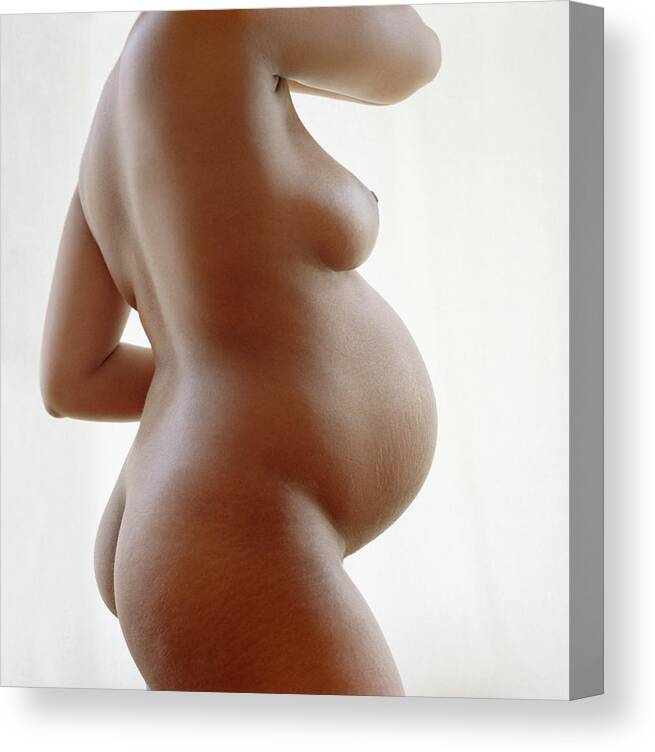 Nude Pregnant Wife 15016