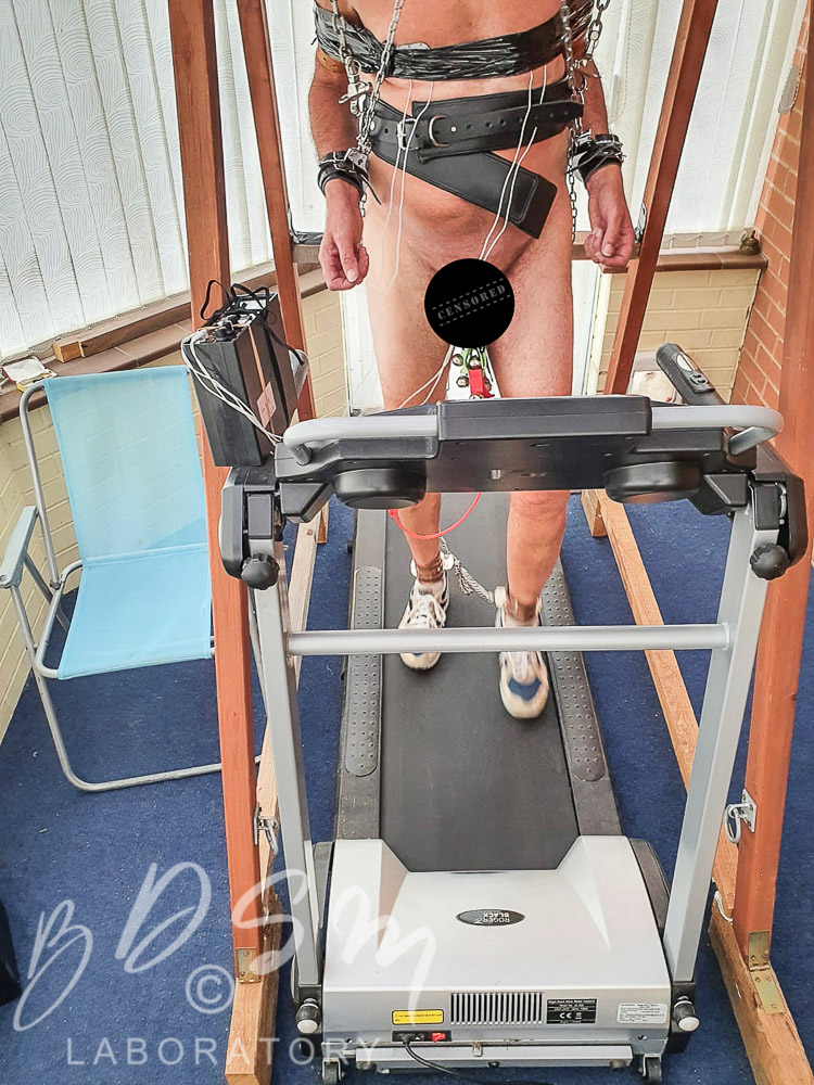 adamu shettima add Treadmill Bondage photo