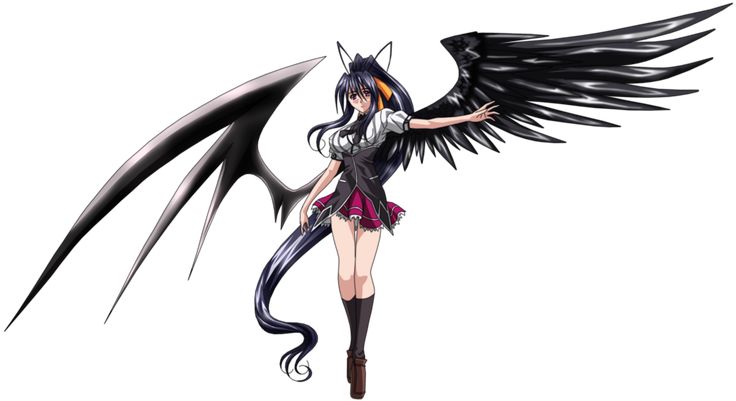 Angel Akeno 23958