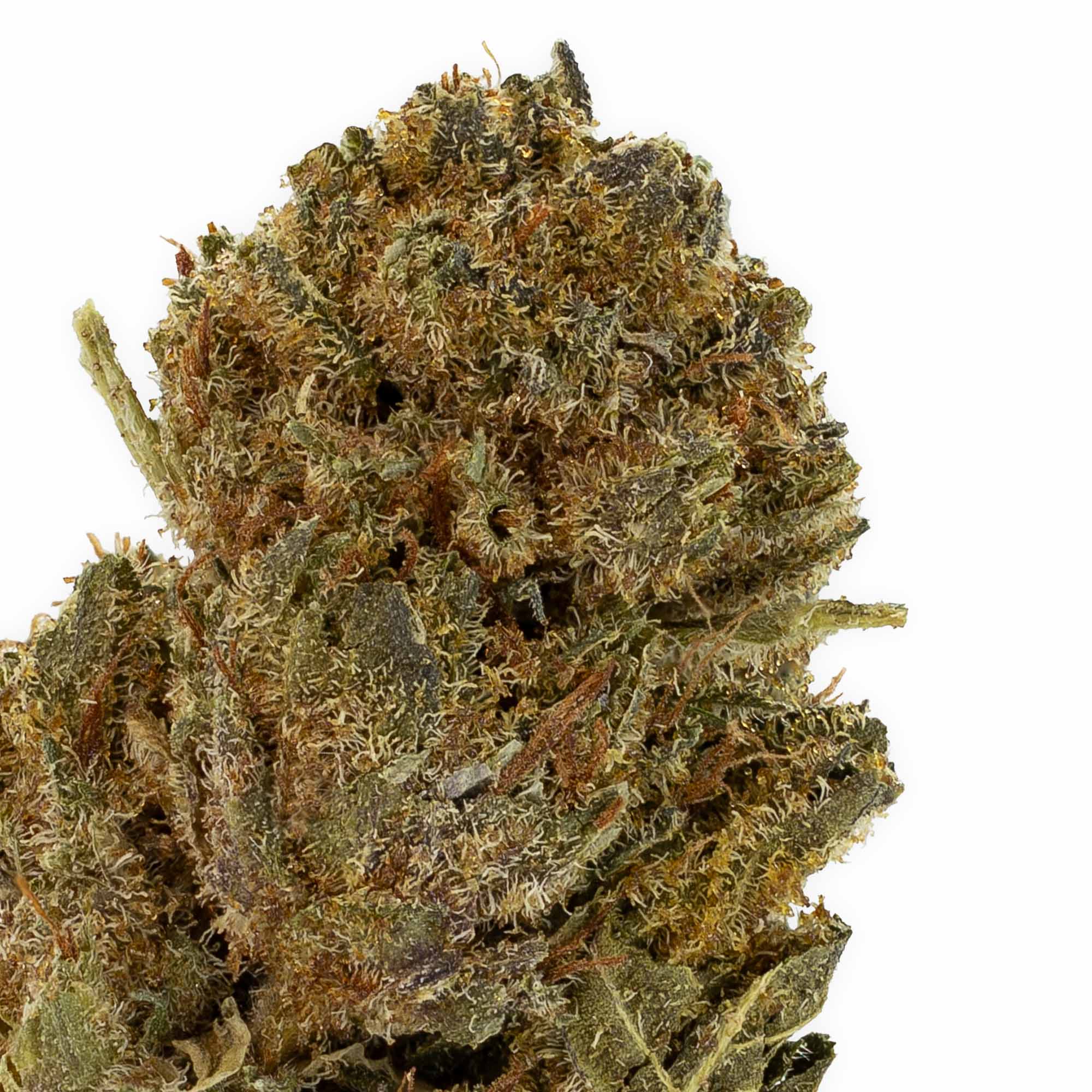 amber jagodzinski add Rose Kush photo