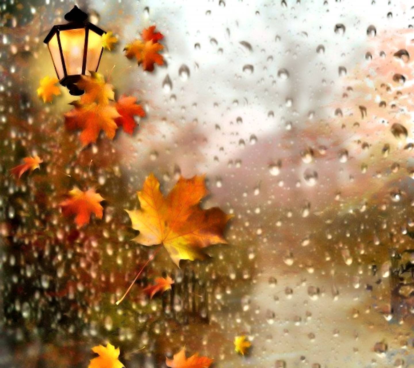 adrel ayson add Autumn Rain Trans photo