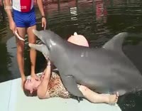 bobs ur uncle add Dolphin Porn photo