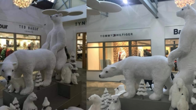 christine bertram add Polar Bear Porn photo