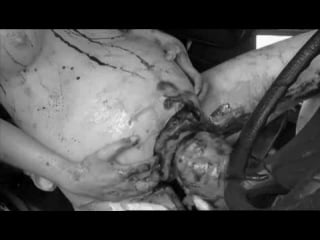catalin ambrosie add Human Centipede Porn photo