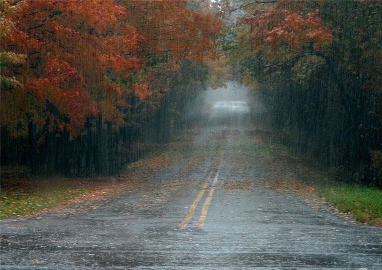 anthony rubaszewski add Autumn Rain Trans photo