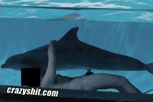 christina regnier add Dolphin Porn photo