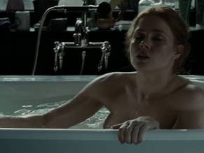 dona cason add Nude Pictures Of Amy Adams photo