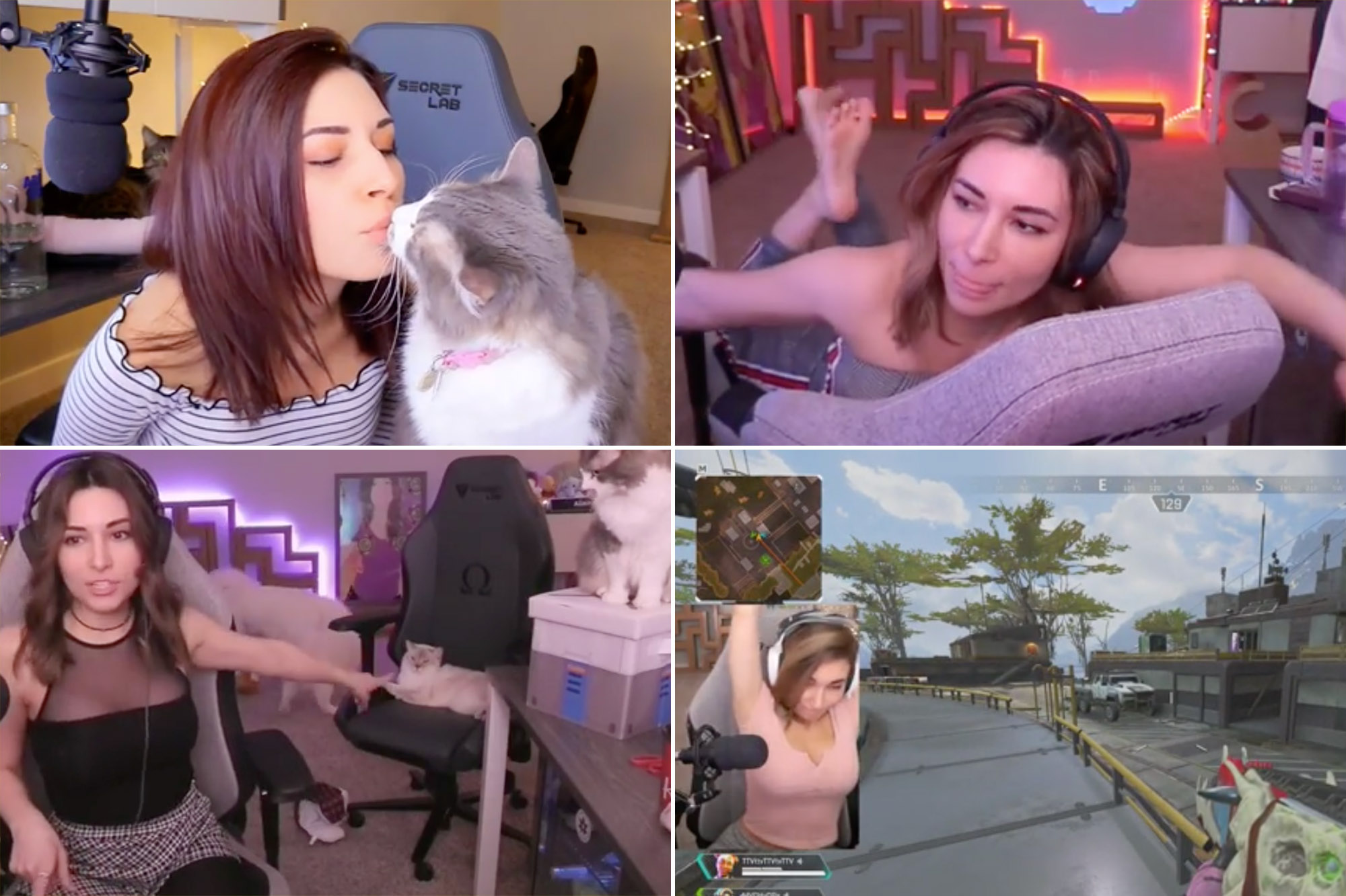 dado jose add Alinity Sex Video photo