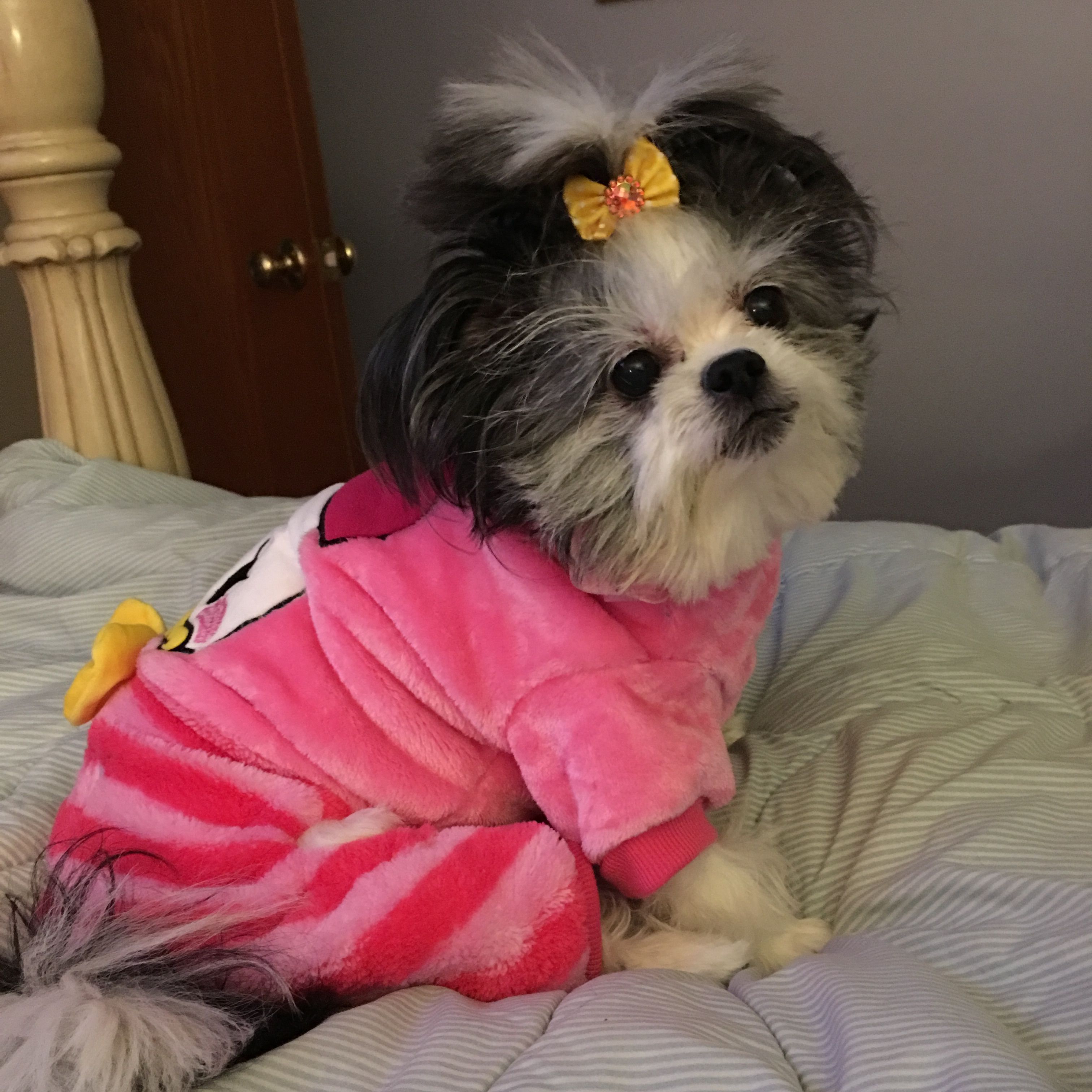 cheri swann add Petite Doggy photo