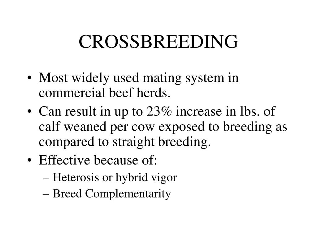 ajit doshi add Crossbreeding Assistance photo