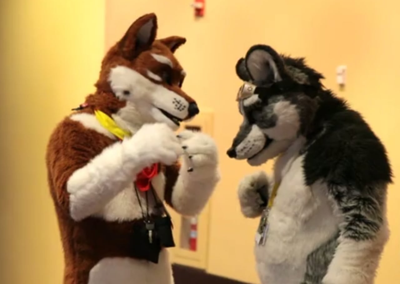 dana pisani add Big Titty Furries photo