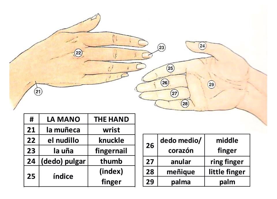 checo miramontes add Fingering In Spanish photo