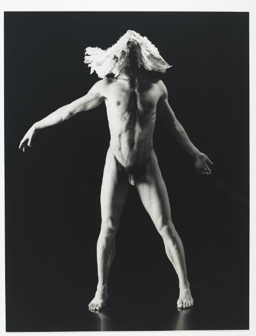 birgit brunner add Nude Ballet Male photo