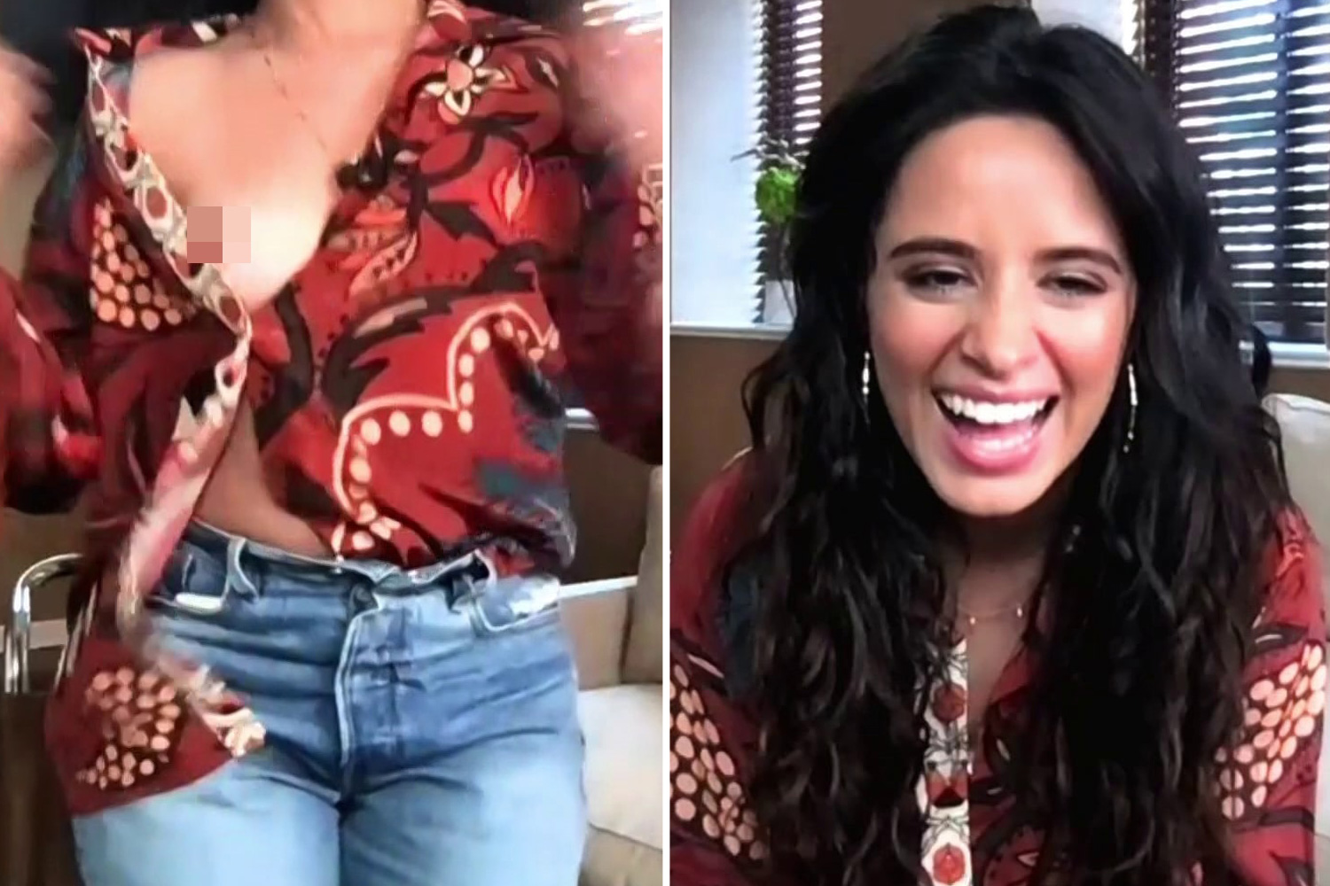 bruce painter add Camila Cabello Nip Slip photo