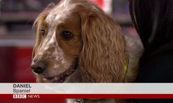 aimee condon add Bouncing On Bbc photo