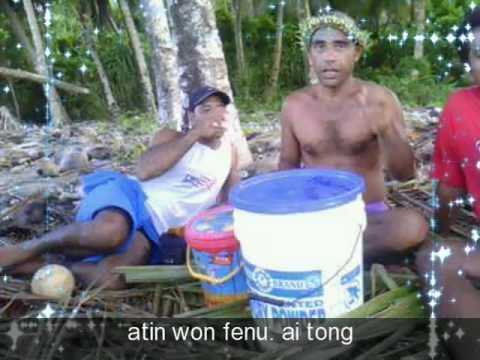 bee sparrow add Niwitin Fin Chuuk photo