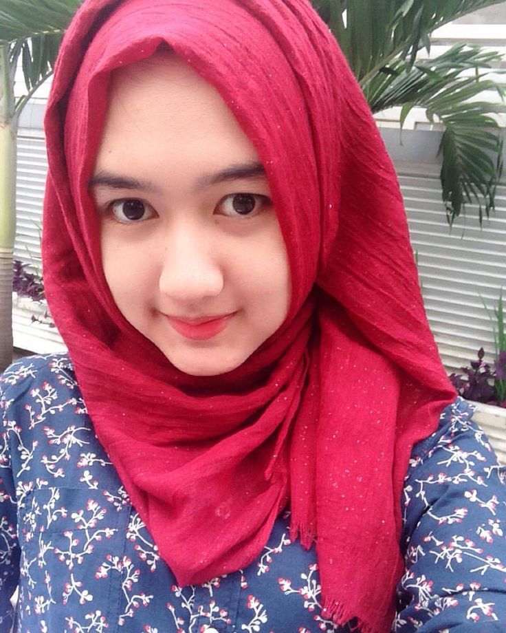 amanda sanfilippo add Bokep Hijab Colmek photo