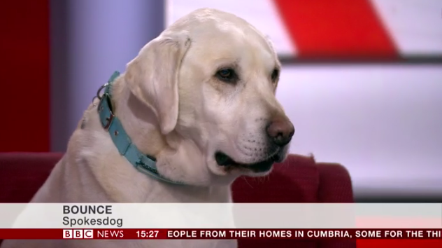 beverley rodriguez add Bouncing On Bbc photo