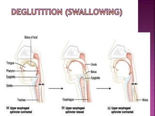 charisma wright add Matures That Swallow photo