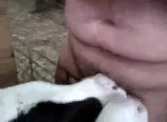 colin westlake add Calf Giving Blow Job photo