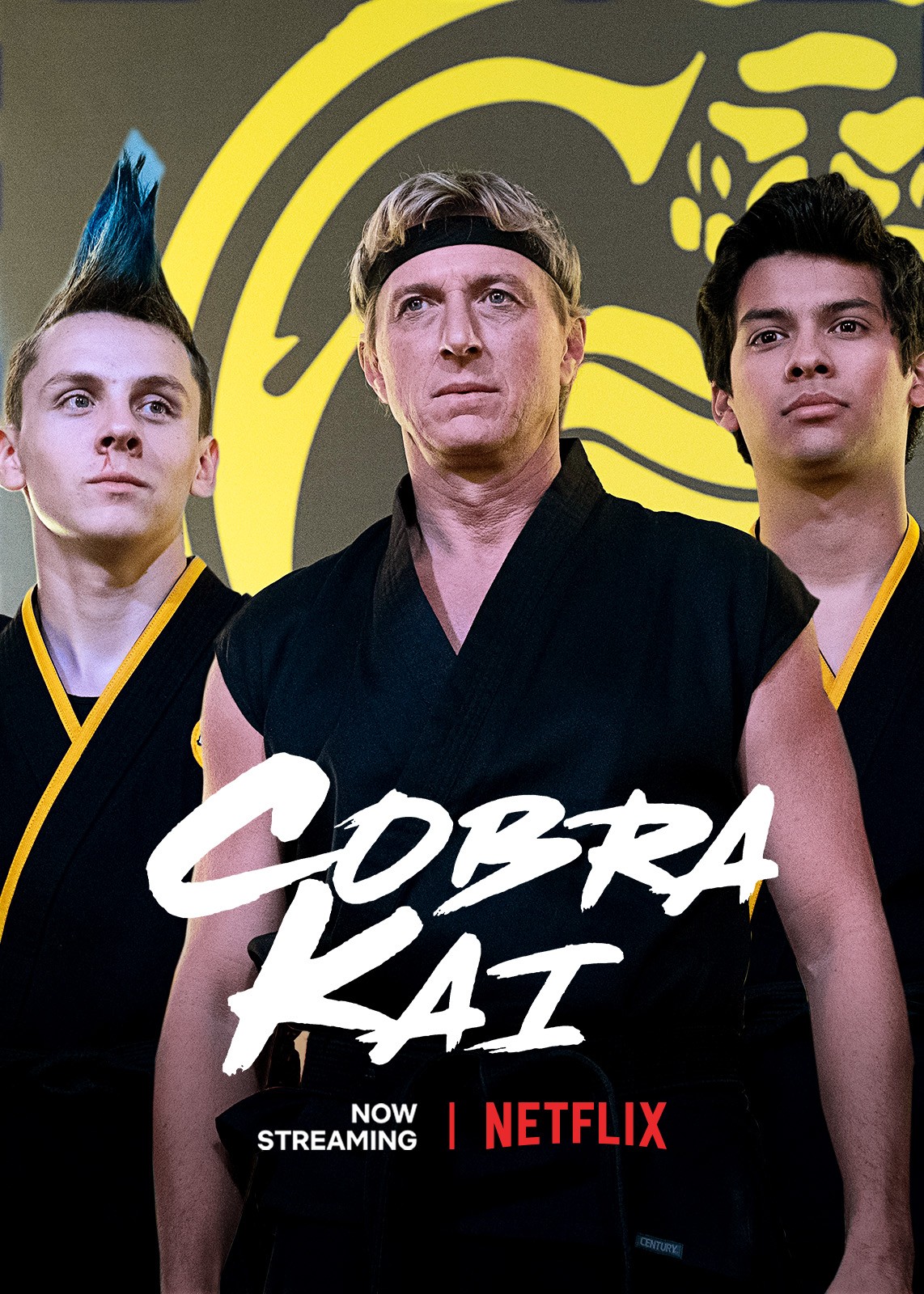 brodie luttrell add Cobra Kai Porn photo