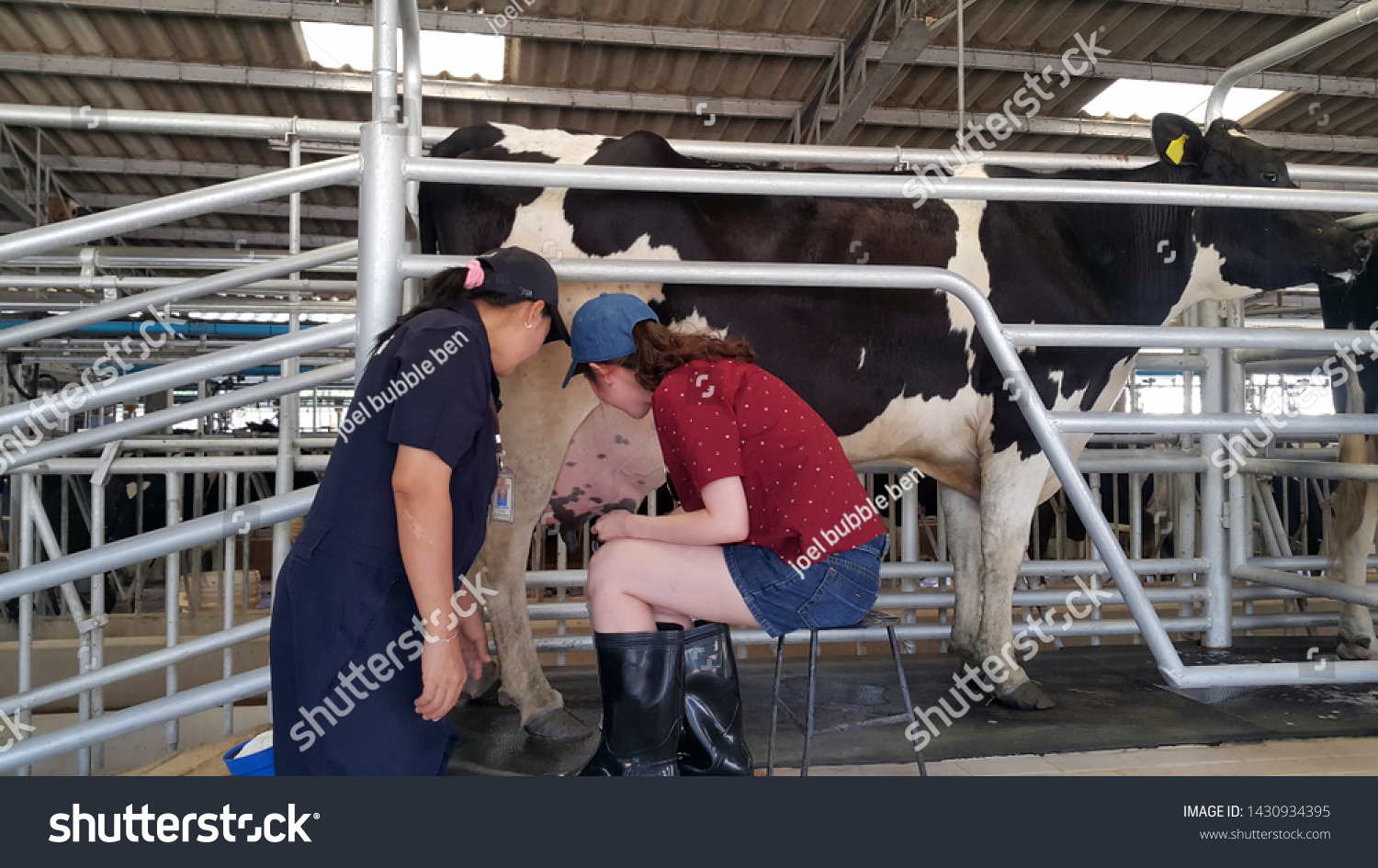 arnel agda add Cowgirl Milked photo