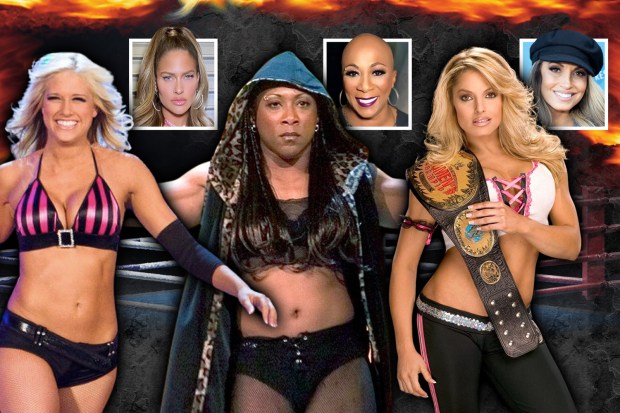 Wwe Divas Porm 21343