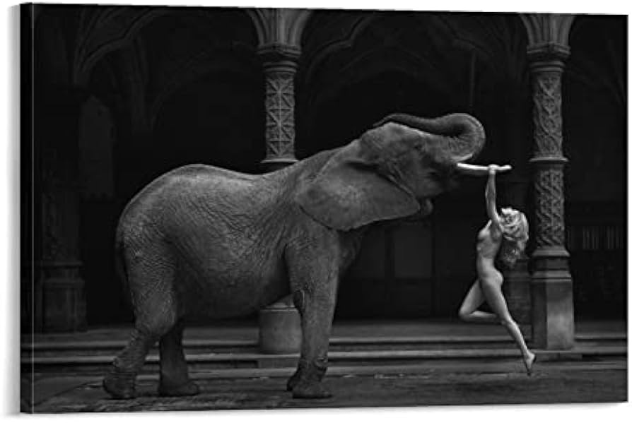 dan desmond add Elephant Pornography photo