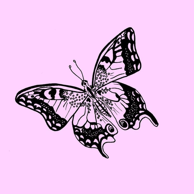 alexandra kinsey add Drew Butterfly photo