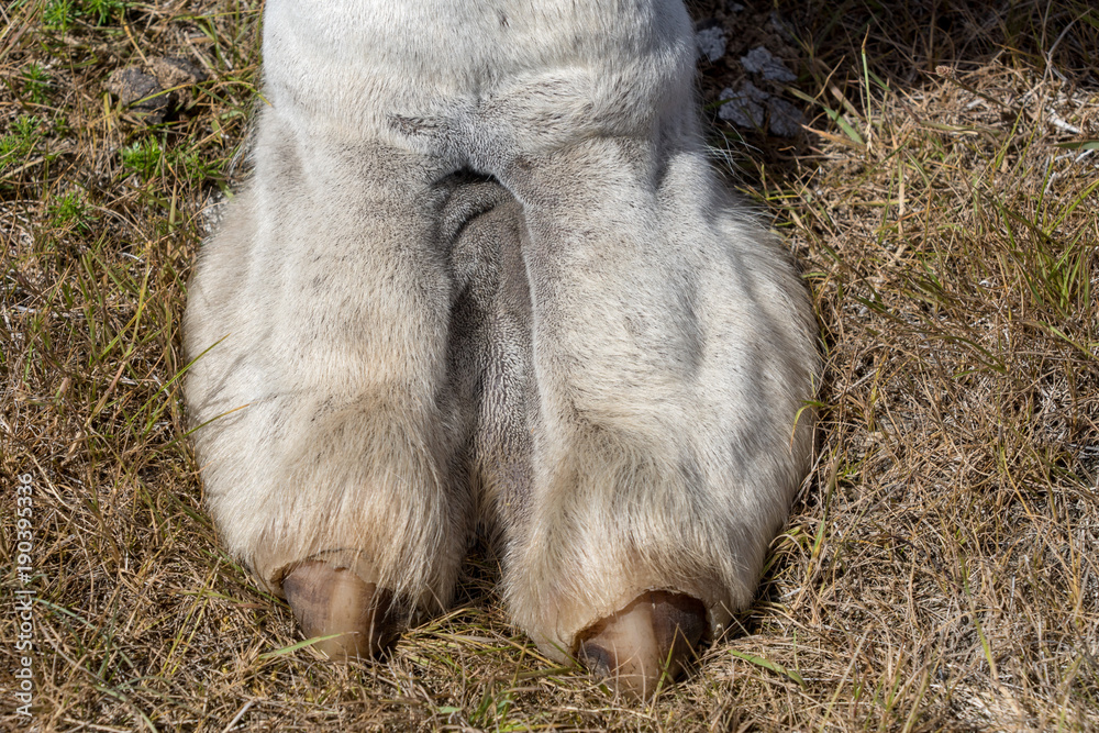 Real Camel Toe 15453