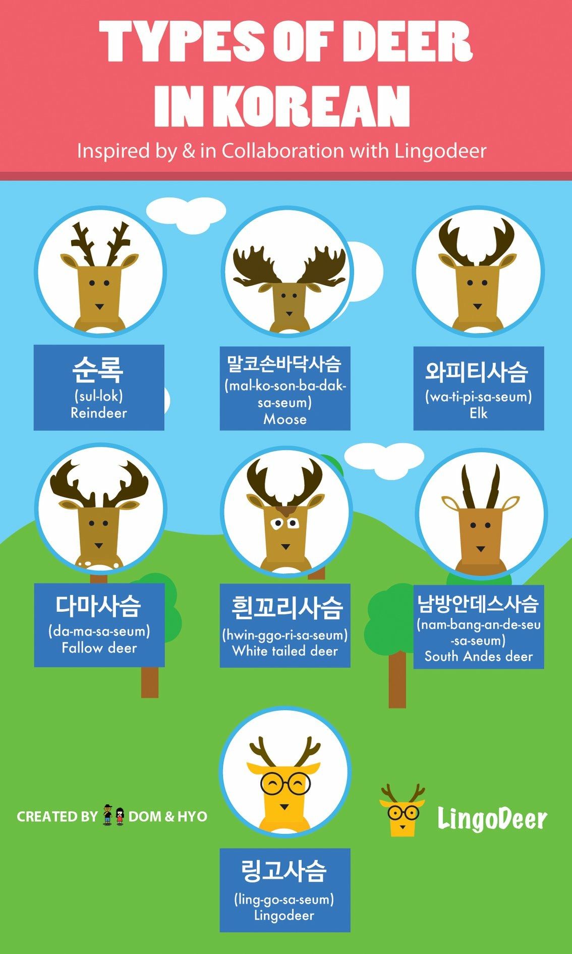 chelsea pond add Korean Bj Deer photo