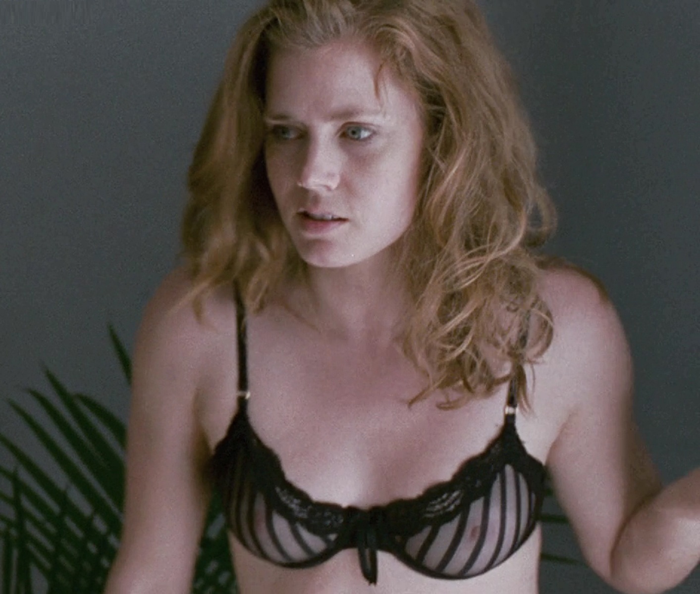 amitha ragala add Nude Pictures Of Amy Adams photo