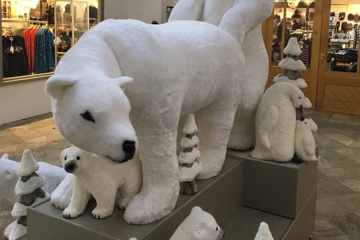 Polar Bear Porn 20642