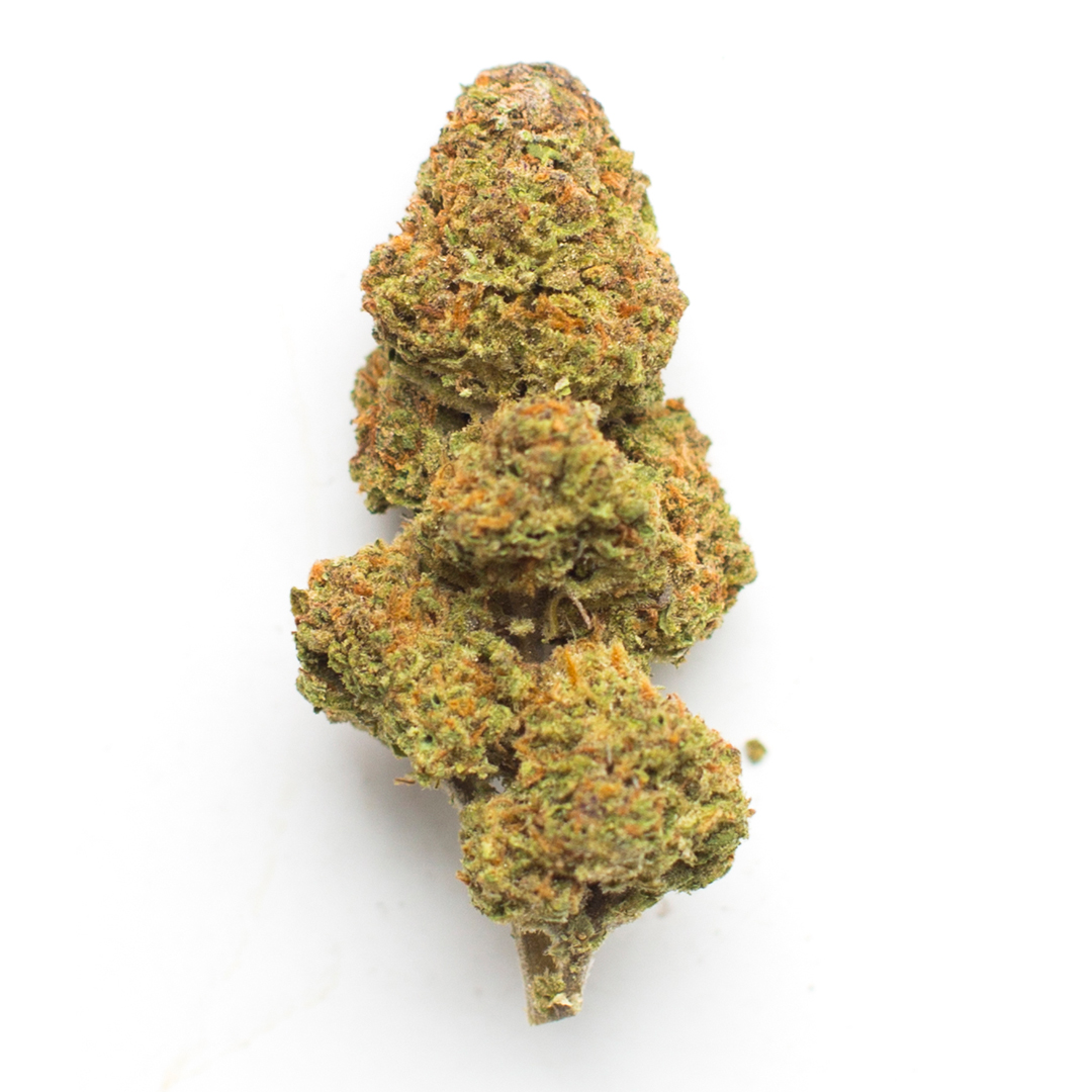 christi marcum add Rose Kush photo