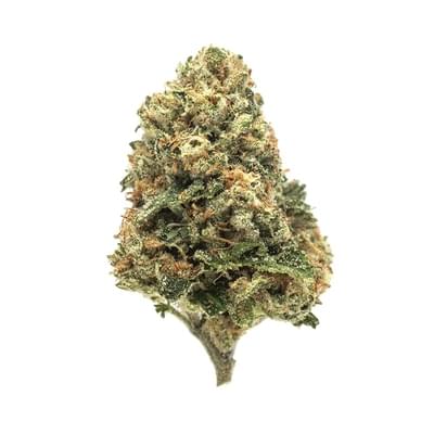 dj mcclellan add Rose Kush photo