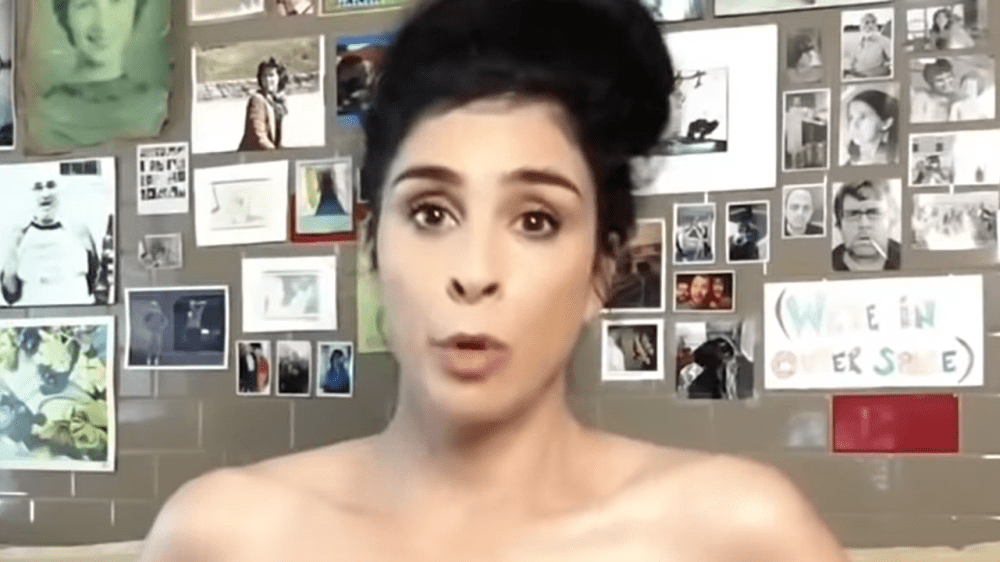 Sarah Silverman Naked 1501