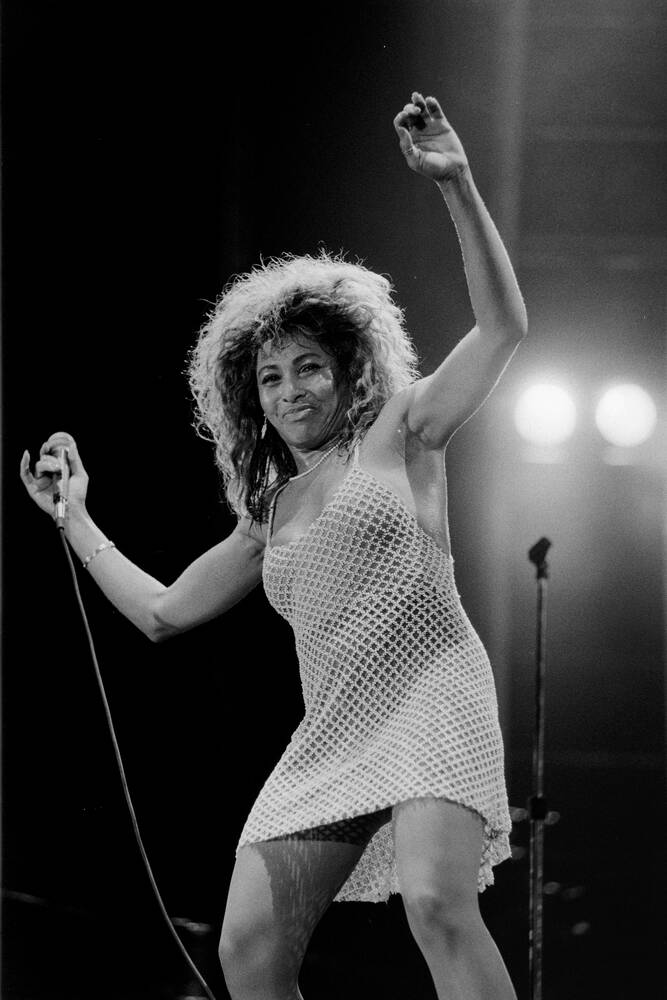 Tina Turner Topless 21763