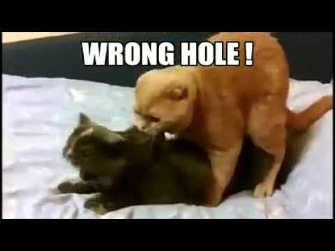 david wayne hill add Woops Wrong Hole photo